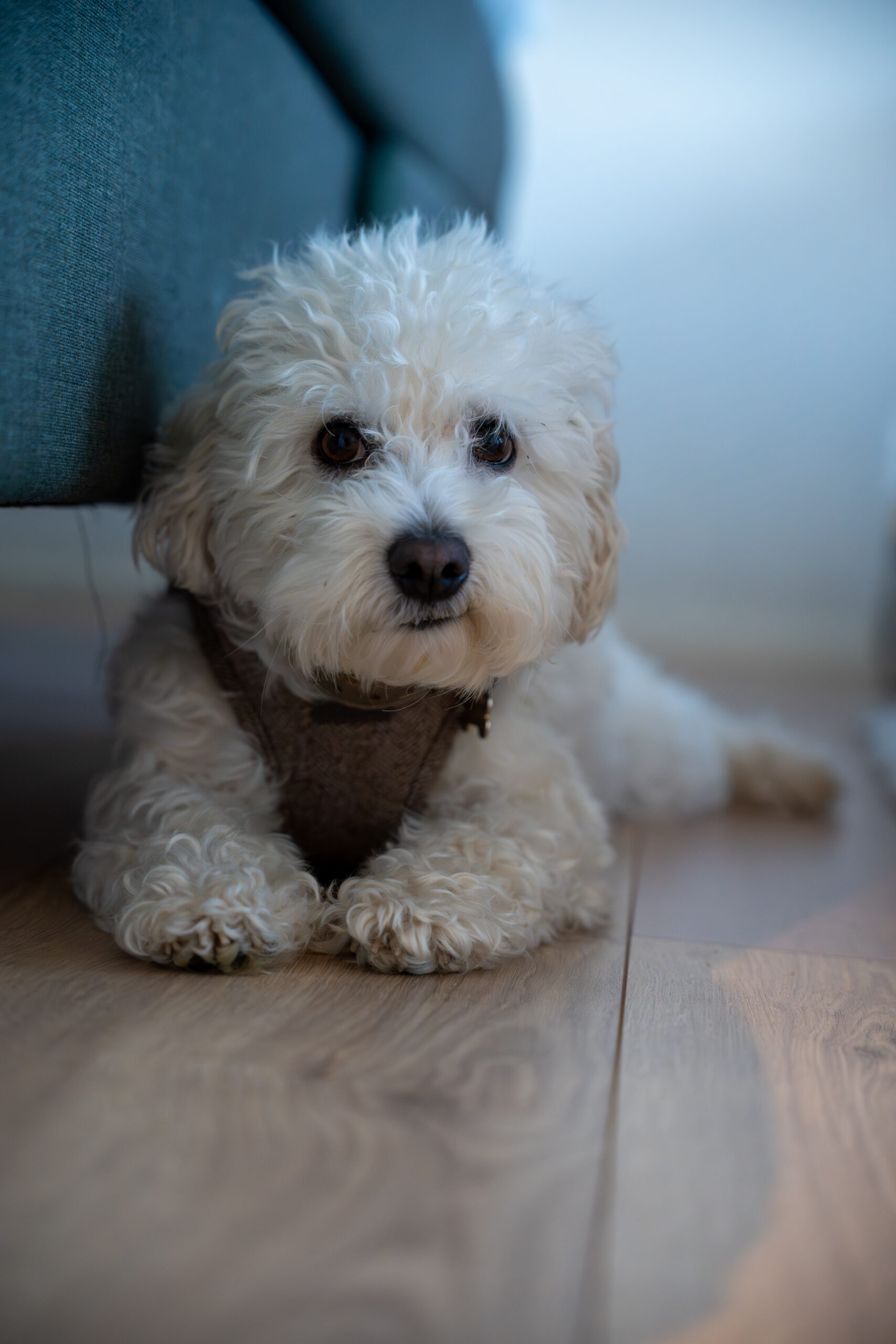 A7401709 Scaled