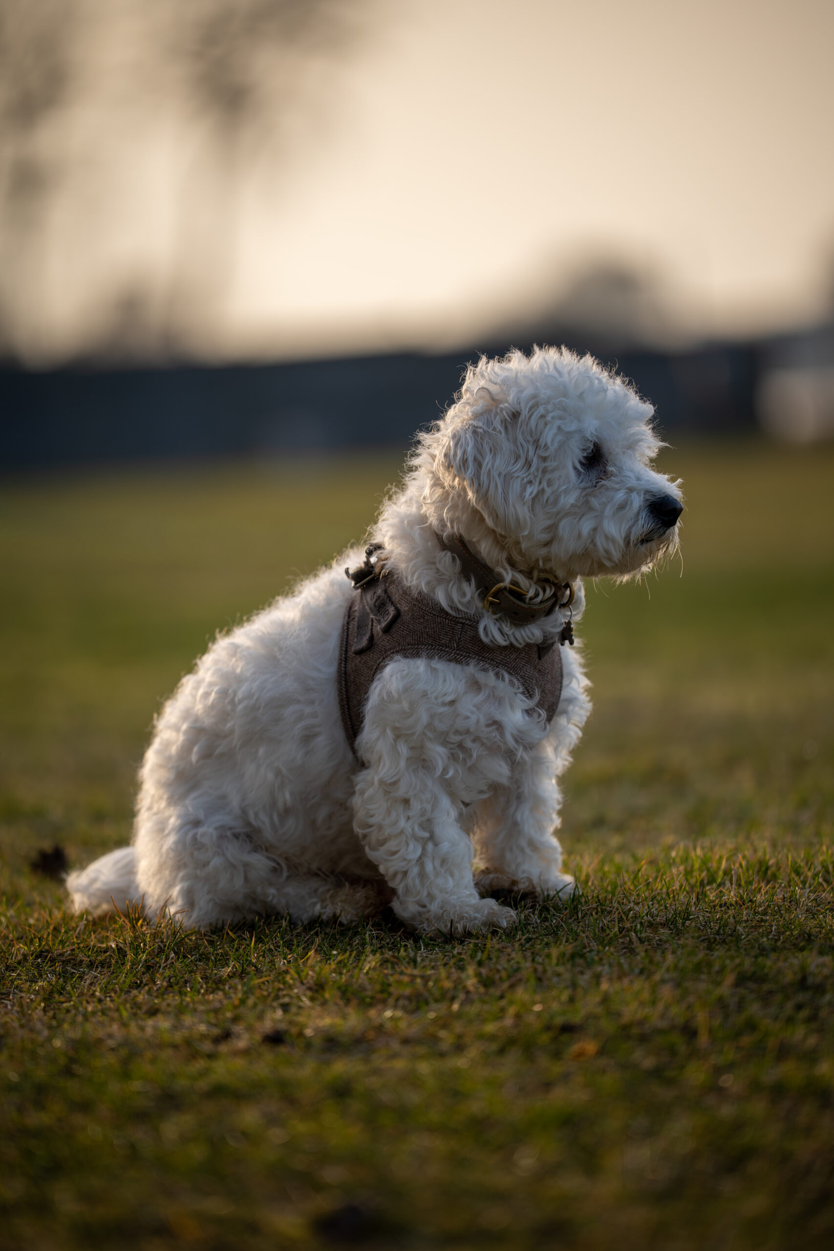 A7401795 Scaled