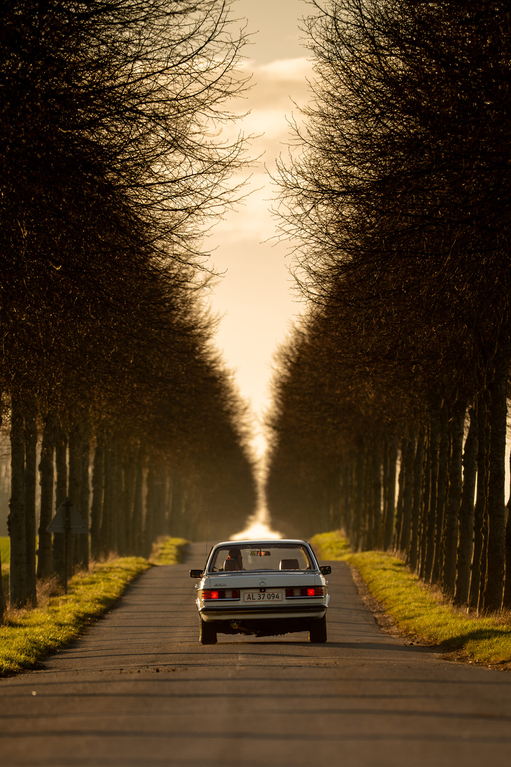 A7404187 17 Scaled
